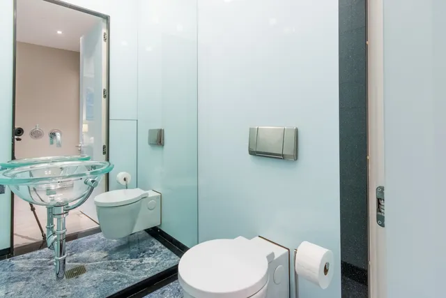a bathroom with a toilet a sink and mirror