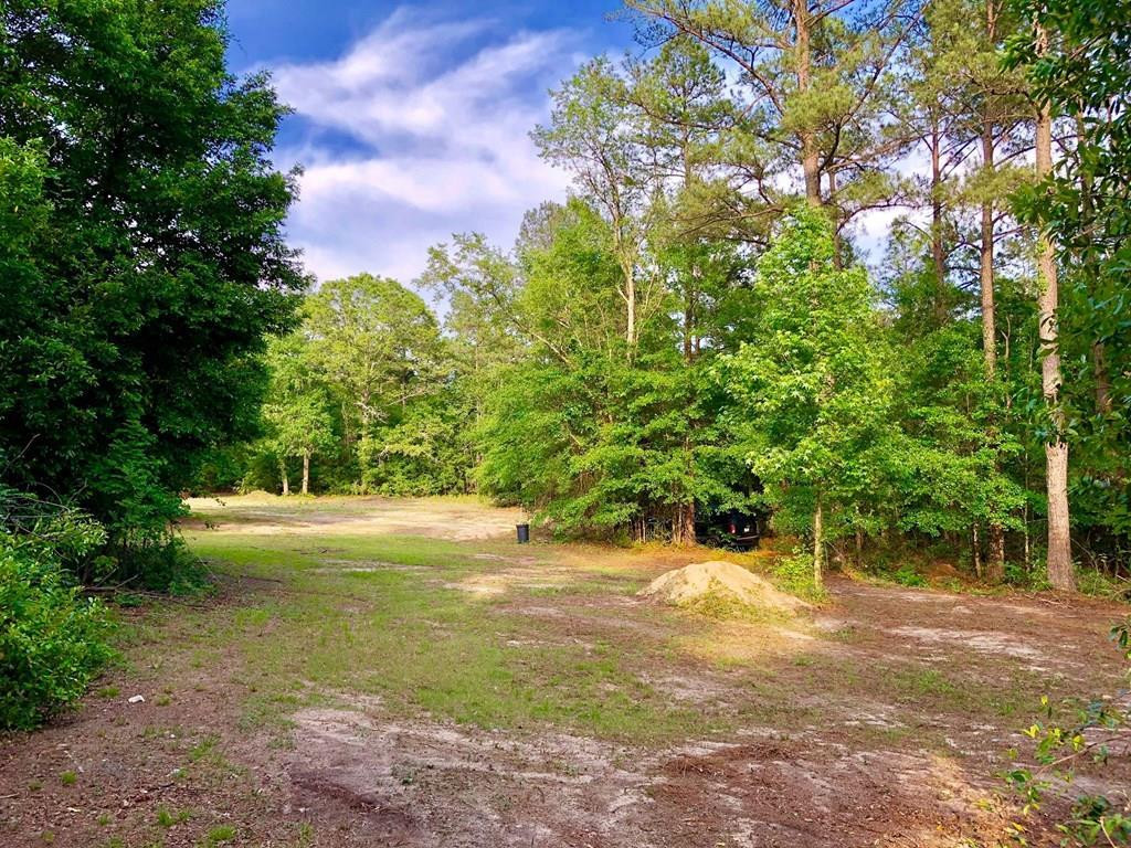 3012 Old Sudlow Lake Road North Augusta, SC 29841 - Photo 2 of 12