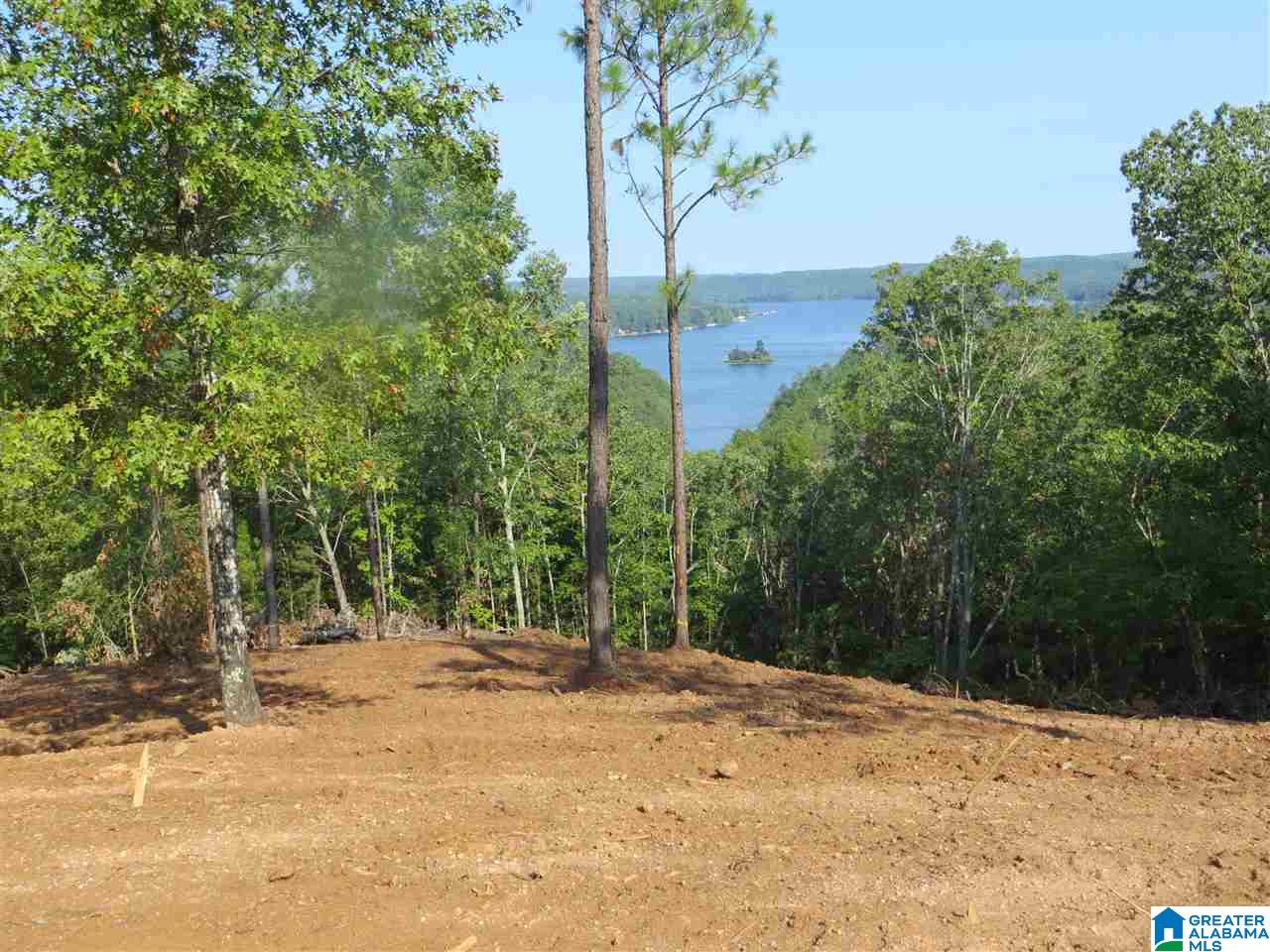 215 Eagle Mountain Road, Unit 4 Rockford, AL 35136 - Photo 4 of 11