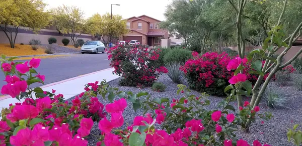 $4,000 | 2248 East Ottawa Lane, Phoenix, AZ 85024