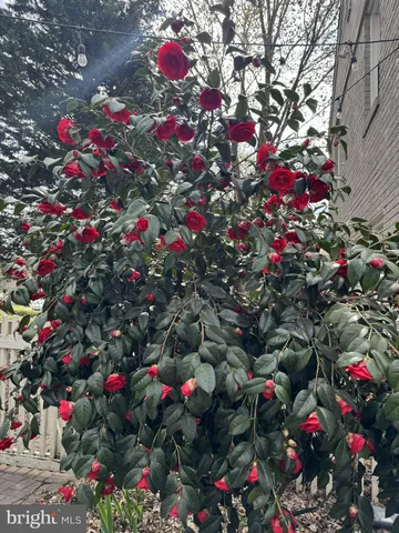 $649,000 | 5915 Edgehill Drive, Alexandria, VA 22303