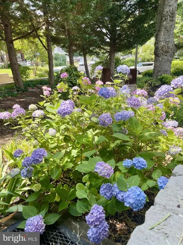 $649,000 | 5915 Edgehill Drive, Alexandria, VA 22303