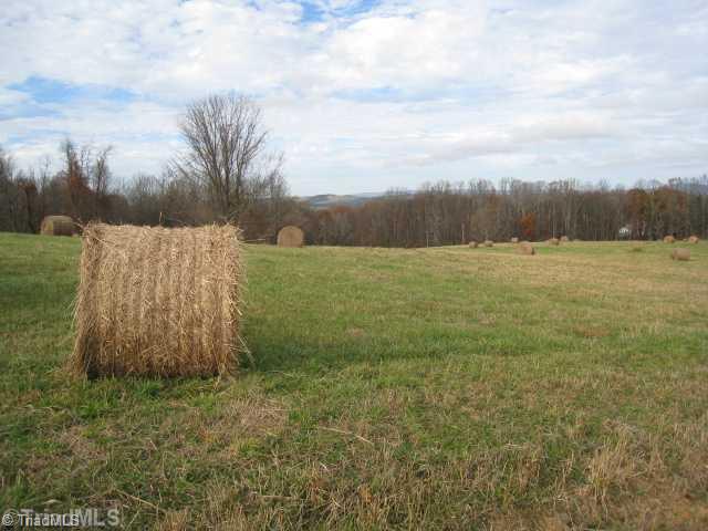 T164 Greenberry Road Fancy Gap, VA 24328 - Photo 1 of 16 Exterior Front.