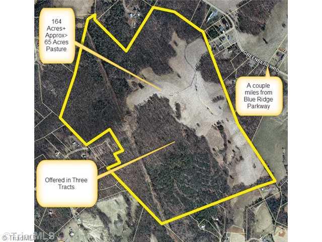 T164 Greenberry Road Fancy Gap, VA 24328 - Photo 13 of 16 Land. LAND TRACTS