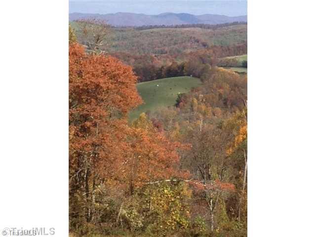 T164 Greenberry Road Fancy Gap, VA 24328 - Photo 3 of 16 View. BUILDING SITE VIEW