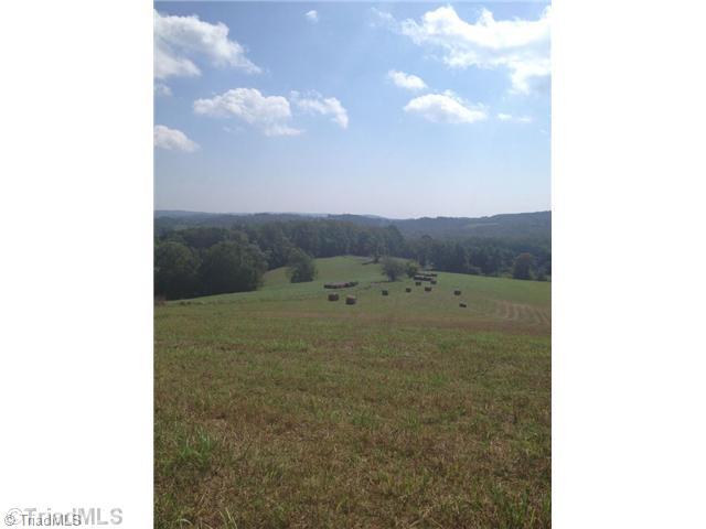 T164 Greenberry Road Fancy Gap, VA 24328 - Photo 7 of 16 View. SELL THE HAY