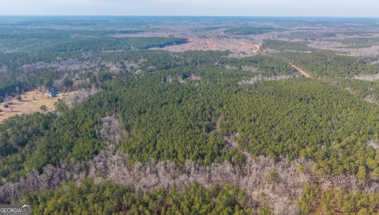 0 St Mary's Road Southwest, Unit A Crawfordville, GA 30631 - Photo 10 of 14