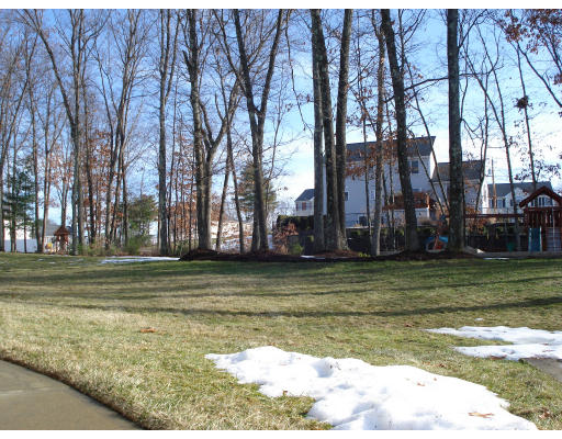 61 Meadowbrook Road Franklin, MA 02038 - Photo 28 of 28 Gallery Image 28