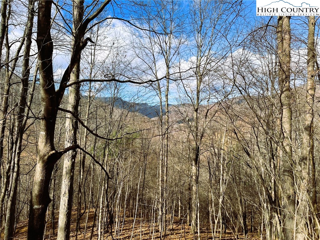 Three Top Road Todd, NC 28684 - Photo 3 of 6 Gallery Image 3