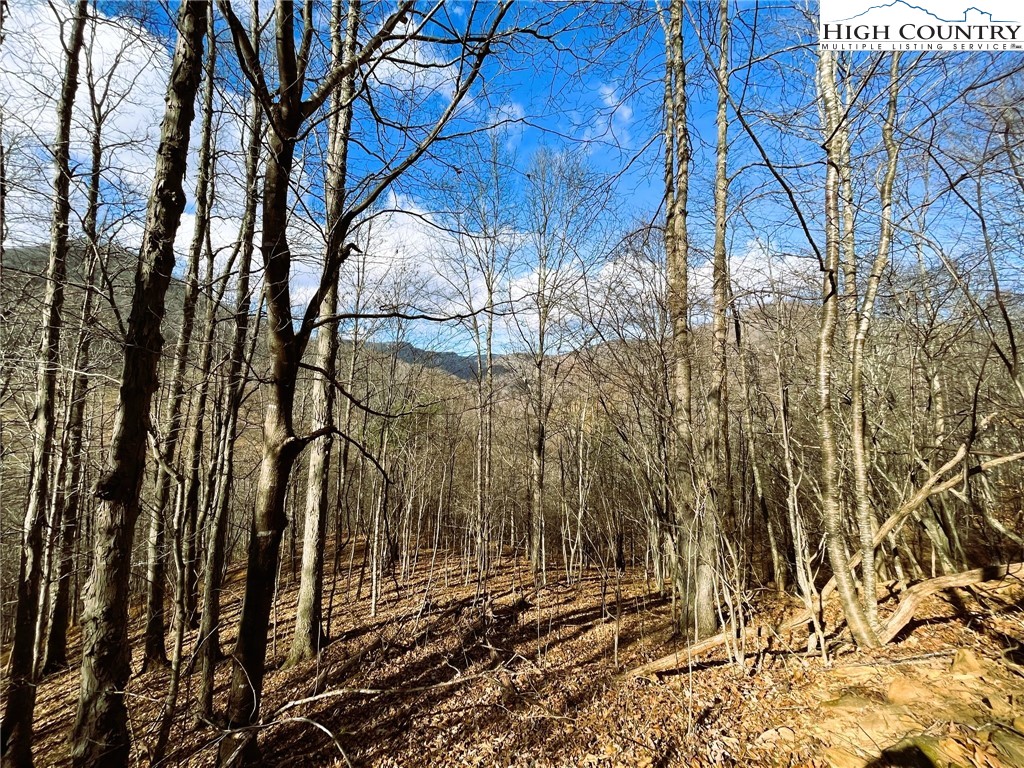 Three Top Road Todd, NC 28684 - Photo 4 of 6 Gallery Image 4
