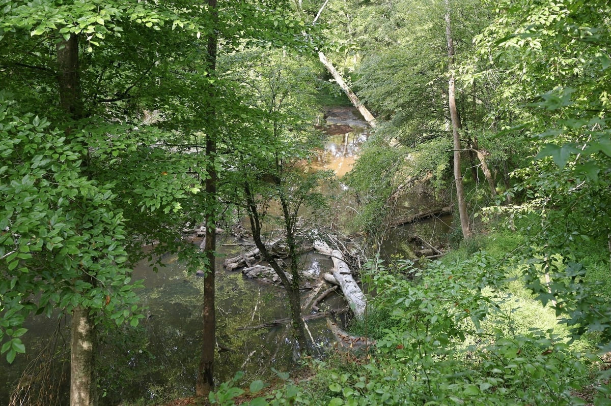 4592 Boogaboo Trail Rougemont, NC 27572 - Photo 40 of 53 95-web-or-mls-IMG_1298.jpg
