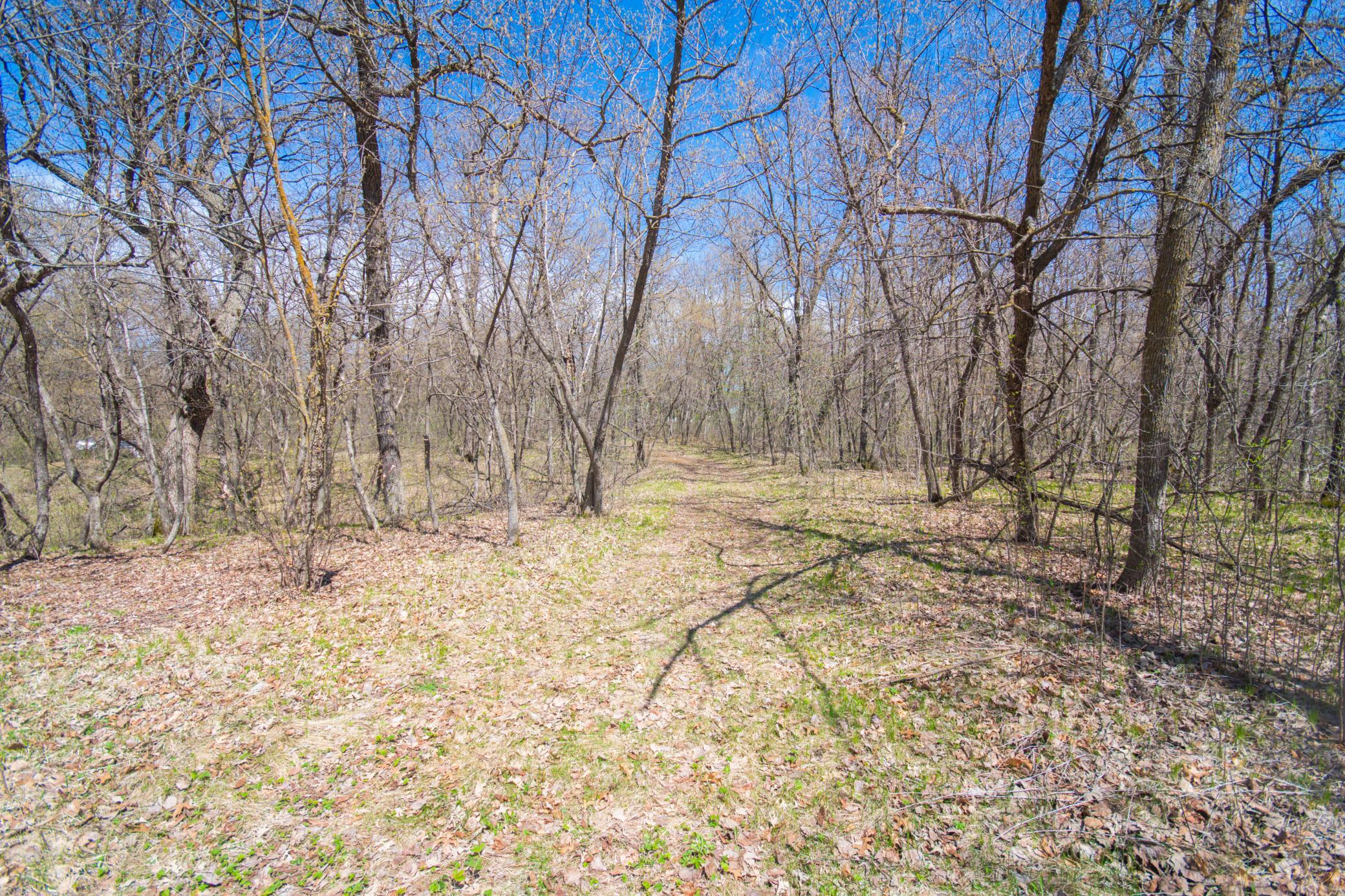 43854 Sylvia Crest Road Melrose, MN 56352 - Photo 9 of 13