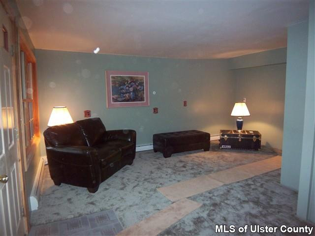 509 Old Rte 23 Acra, NY 12405 - Photo 2 of 11 Photo 2