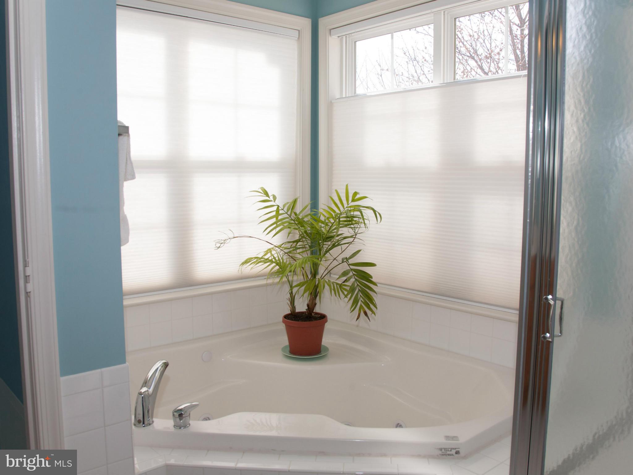 2623 Monocacy Ford Road Frederick, MD 21701 - Photo 17 of 29 Master bath with jetted tub!