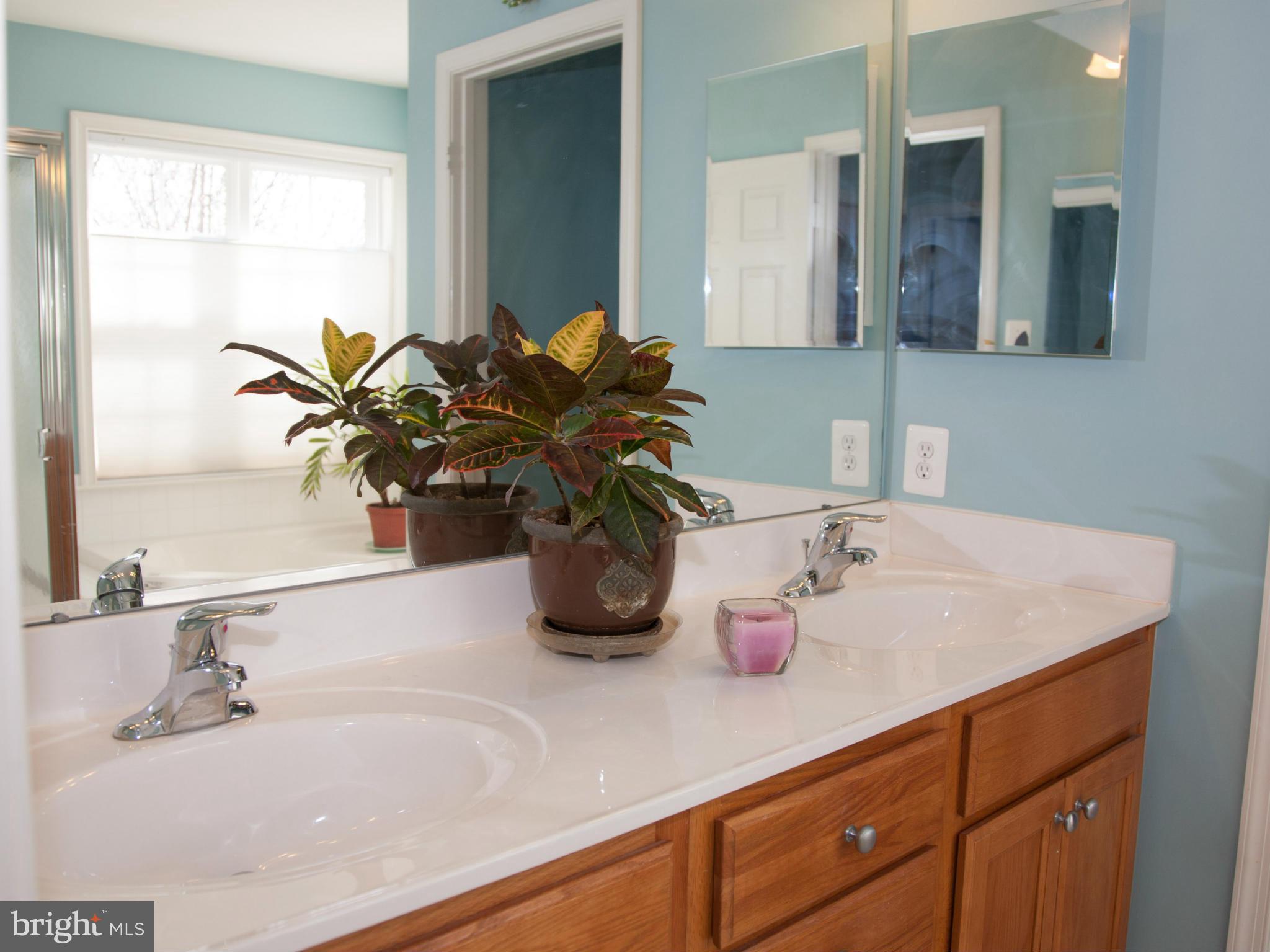 2623 Monocacy Ford Road Frederick, MD 21701 - Photo 18 of 29 Master bath vanity