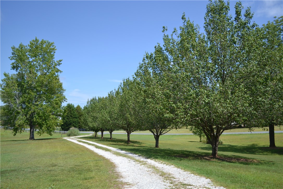 91 Westwood Road Abbeville, SC 29620 - Photo 3 of 35 Gallery Image 3