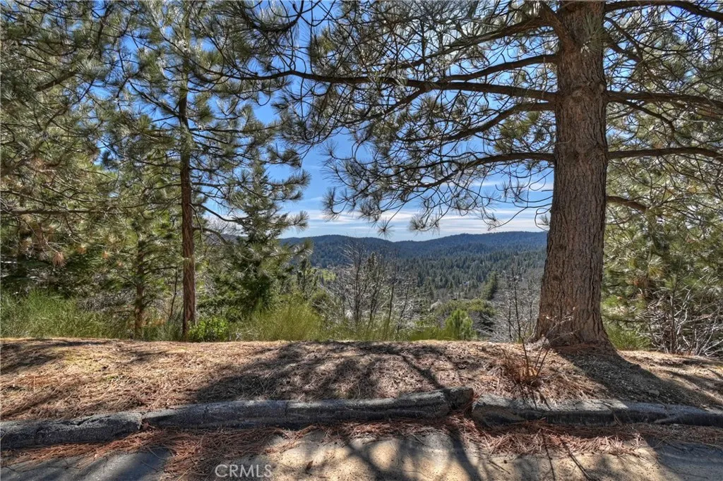 0 Black Oaks Lake Arrowhead, CA 92352 - Photo 4 of 14