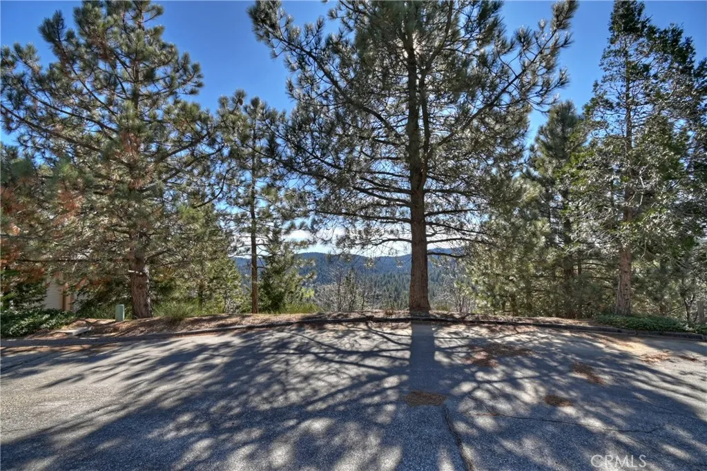 0 Black Oaks Lake Arrowhead, CA 92352 - Photo 6 of 14