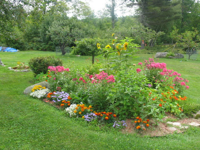 16 Anderson Road Vienna, ME 04360 - Photo 66 of 83 GROUNDS & GARDENS