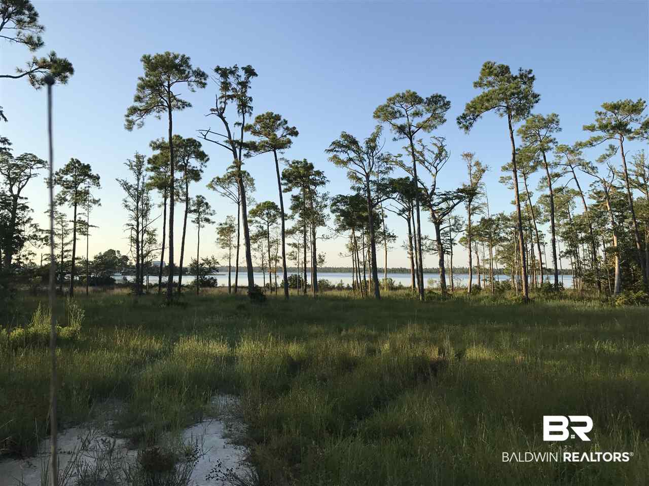 27851 Canal Road Orange Beach, AL 36561 - Photo 1 of 2