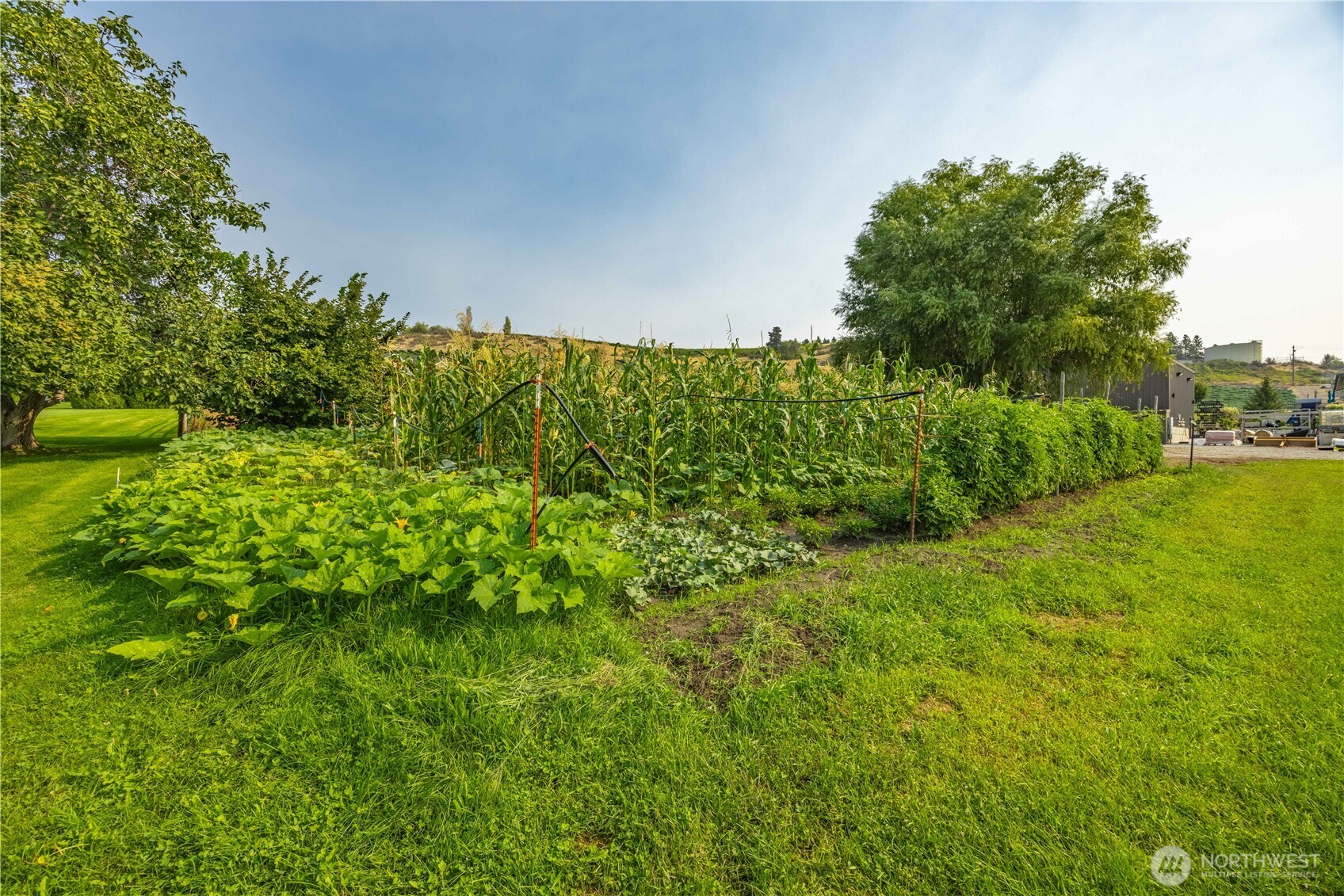 744 Wapato Lake Road Manson, WA 98831 - Photo 30 of 40 a view of a garden with a building in the background