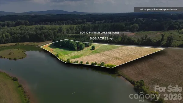 an aerial view of a house with a yard and plants