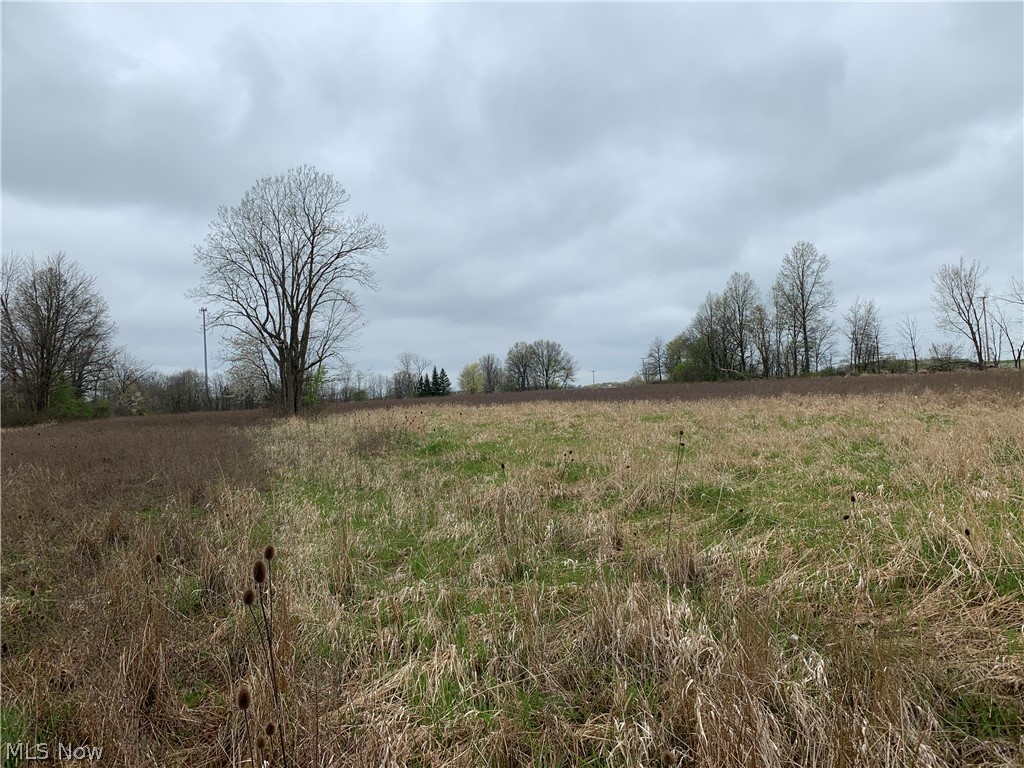 8799 Guilford Road Seville, OH 44273 - Photo 16 of 35 Gallery Image 16