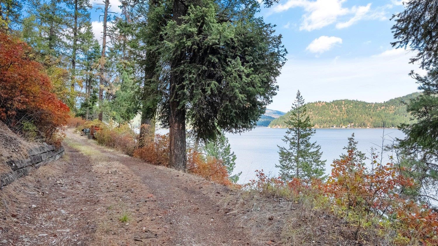 3923 East Pine Bay Road Loon Lake, WA 99148 - Photo 9 of 33