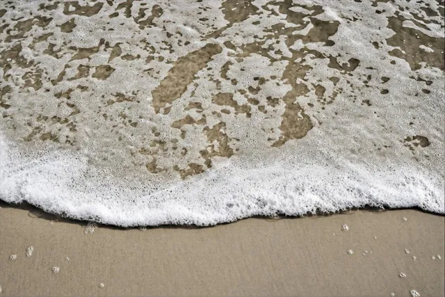 $849,000 | 6 Manatee Court, St. Augustine, FL 32080