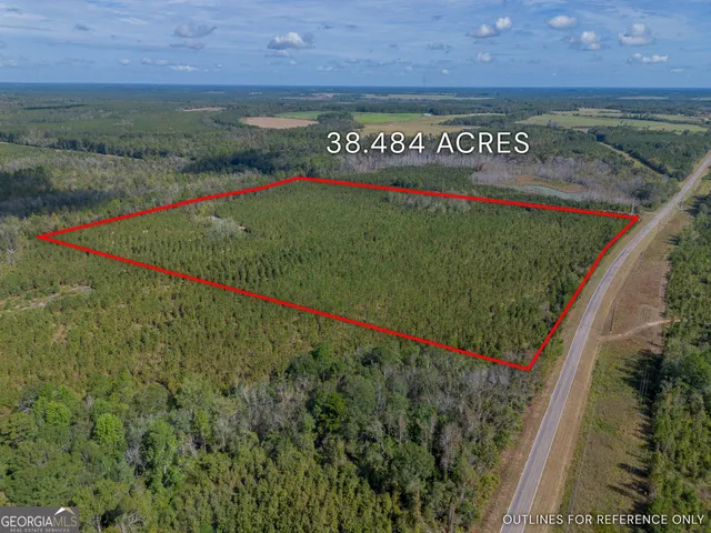 $225,000 | Tract 2 Kinnett Road, Jacksonville, GA 31544