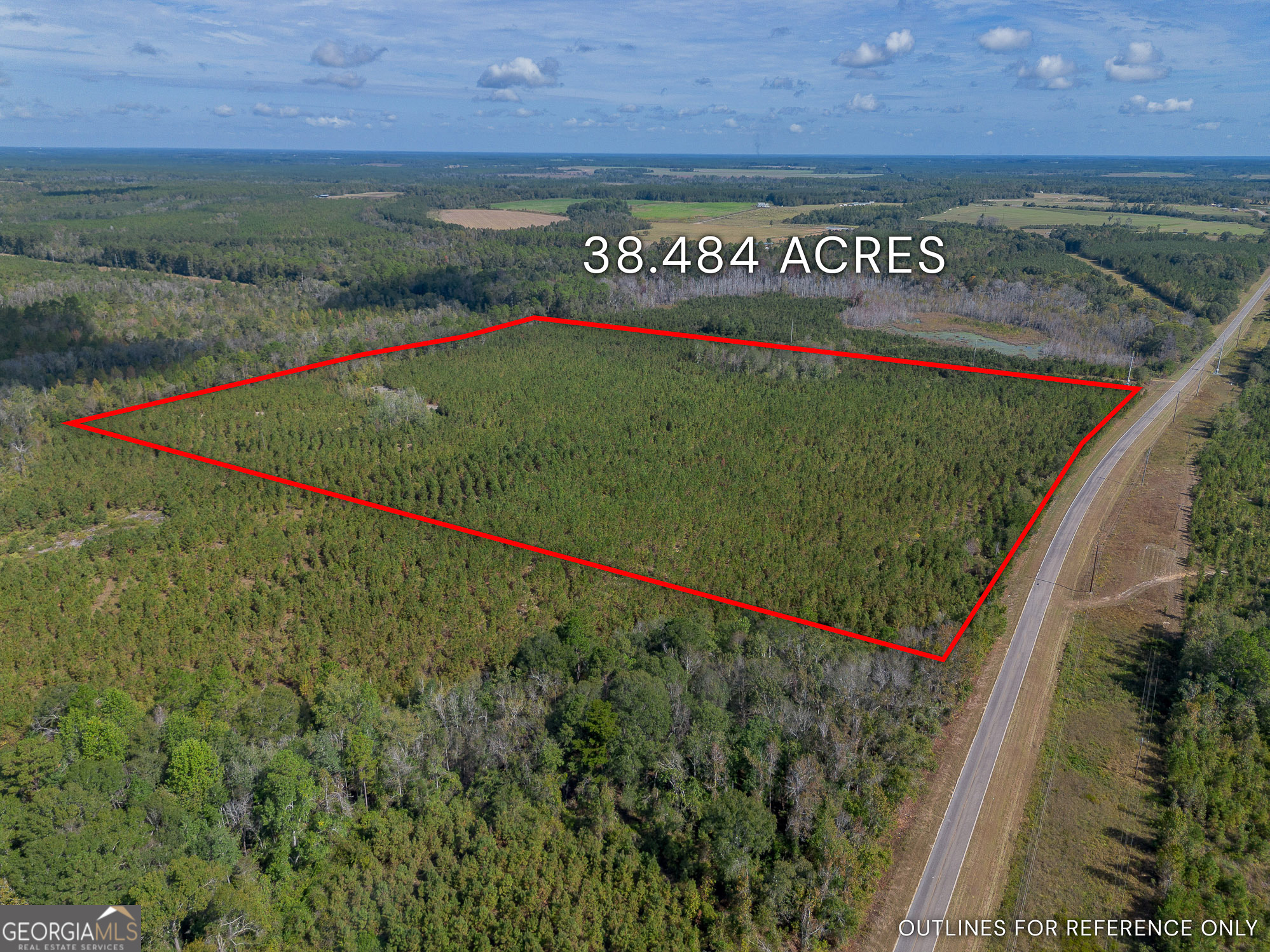 Tract 2 Kinnett Road Jacksonville, GA 31544 - Photo 1 of 17