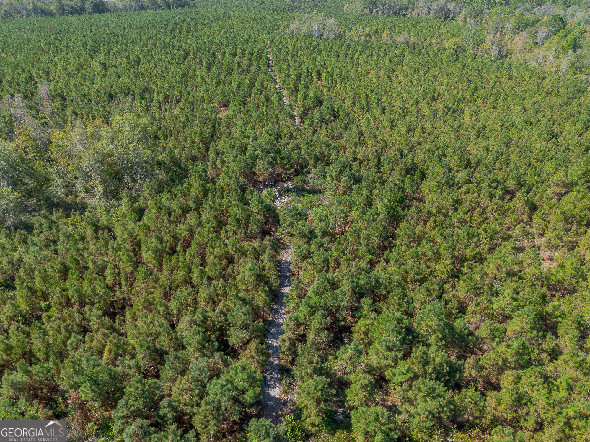 Tract 2 Kinnett Road Jacksonville, GA 31544 - Photo 11 of 17