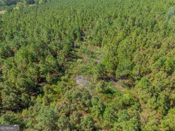 $225,000 | Tract 2 Kinnett Road, Jacksonville, GA 31544