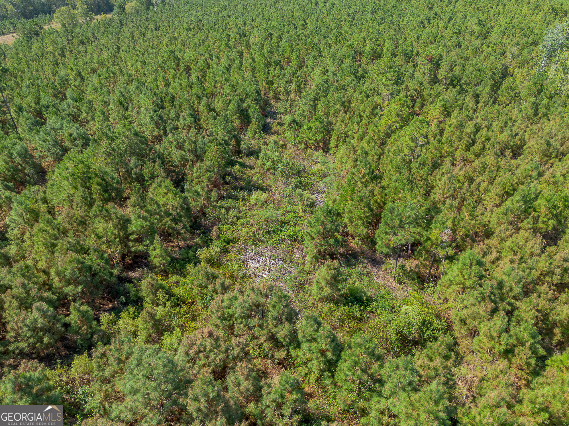 Tract 2 Kinnett Road Jacksonville, GA 31544 - Photo 12 of 17