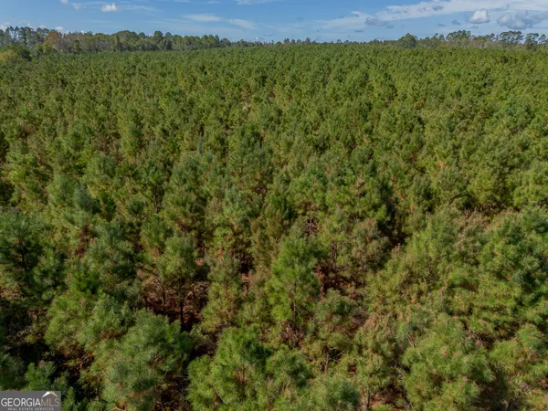 $225,000 | Tract 2 Kinnett Road, Jacksonville, GA 31544