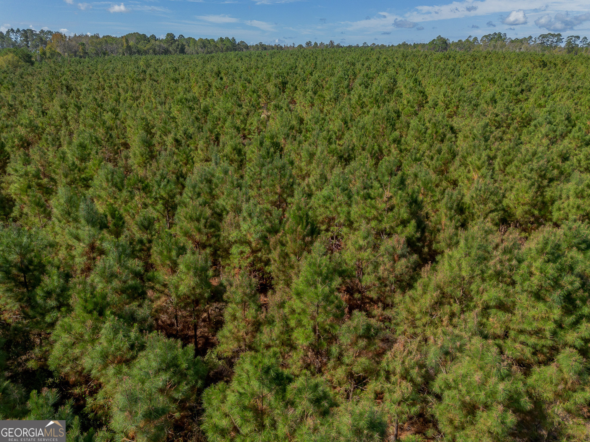 Tract 2 Kinnett Road Jacksonville, GA 31544 - Photo 13 of 17