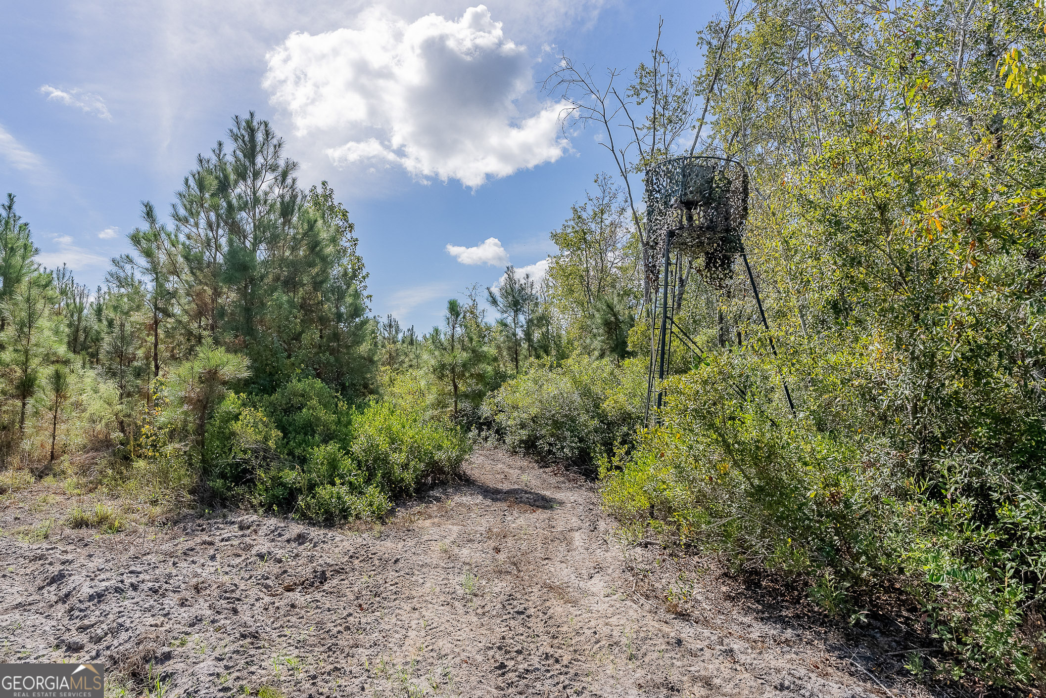 Tract 2 Kinnett Road Jacksonville, GA 31544 - Photo 15 of 17