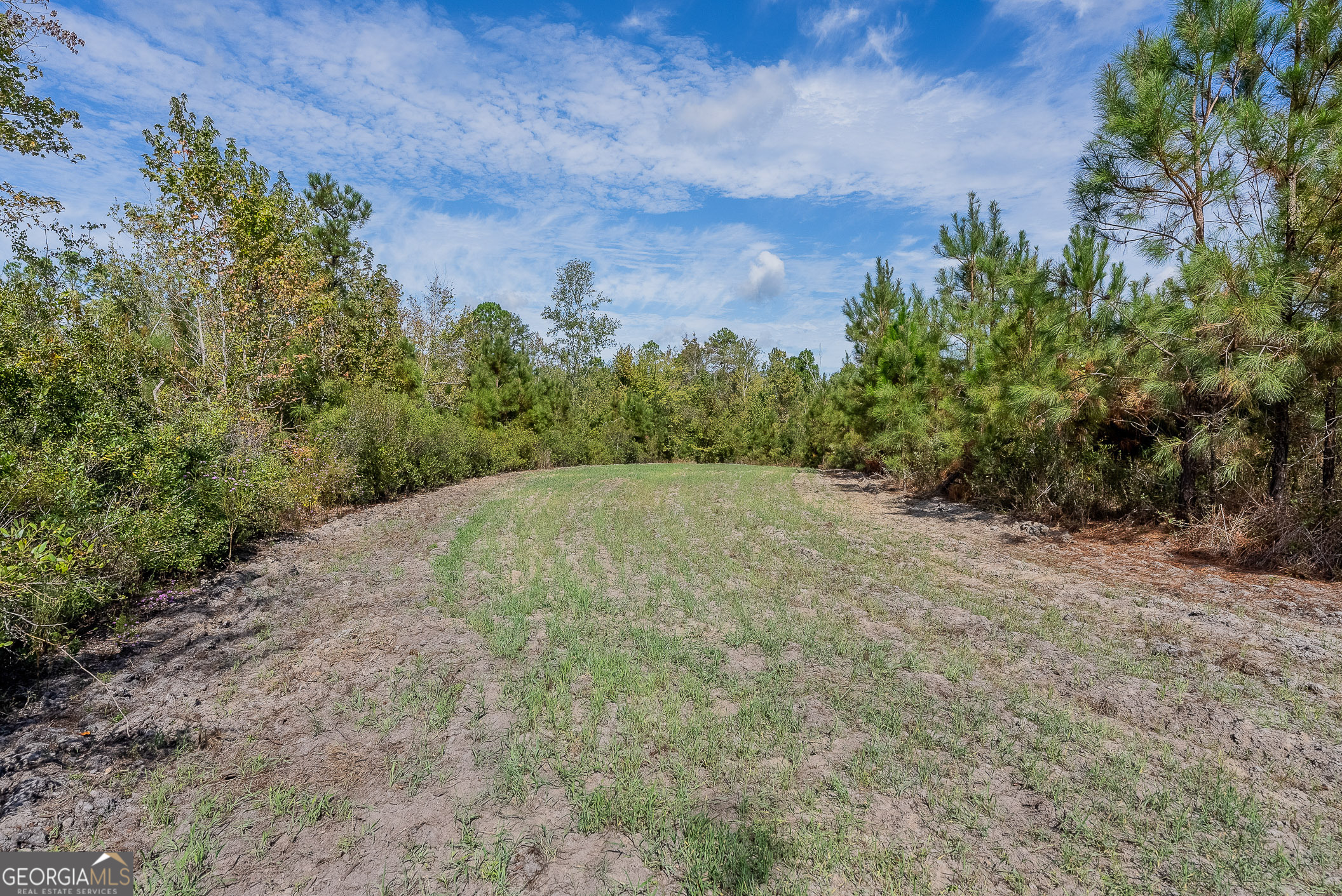 Tract 2 Kinnett Road Jacksonville, GA 31544 - Photo 16 of 17