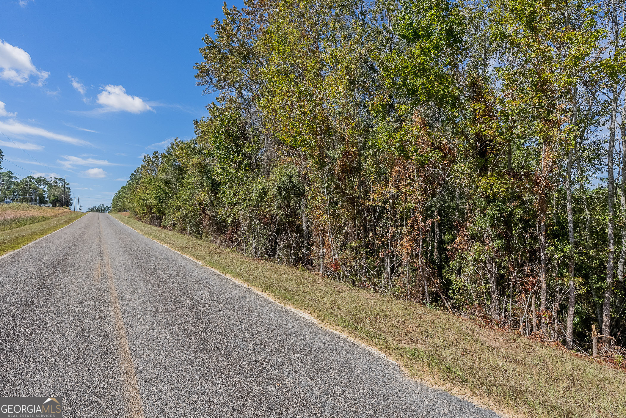 Tract 2 Kinnett Road Jacksonville, GA 31544 - Photo 17 of 17
