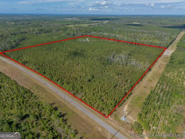 $225,000 | Tract 2 Kinnett Road, Jacksonville, GA 31544