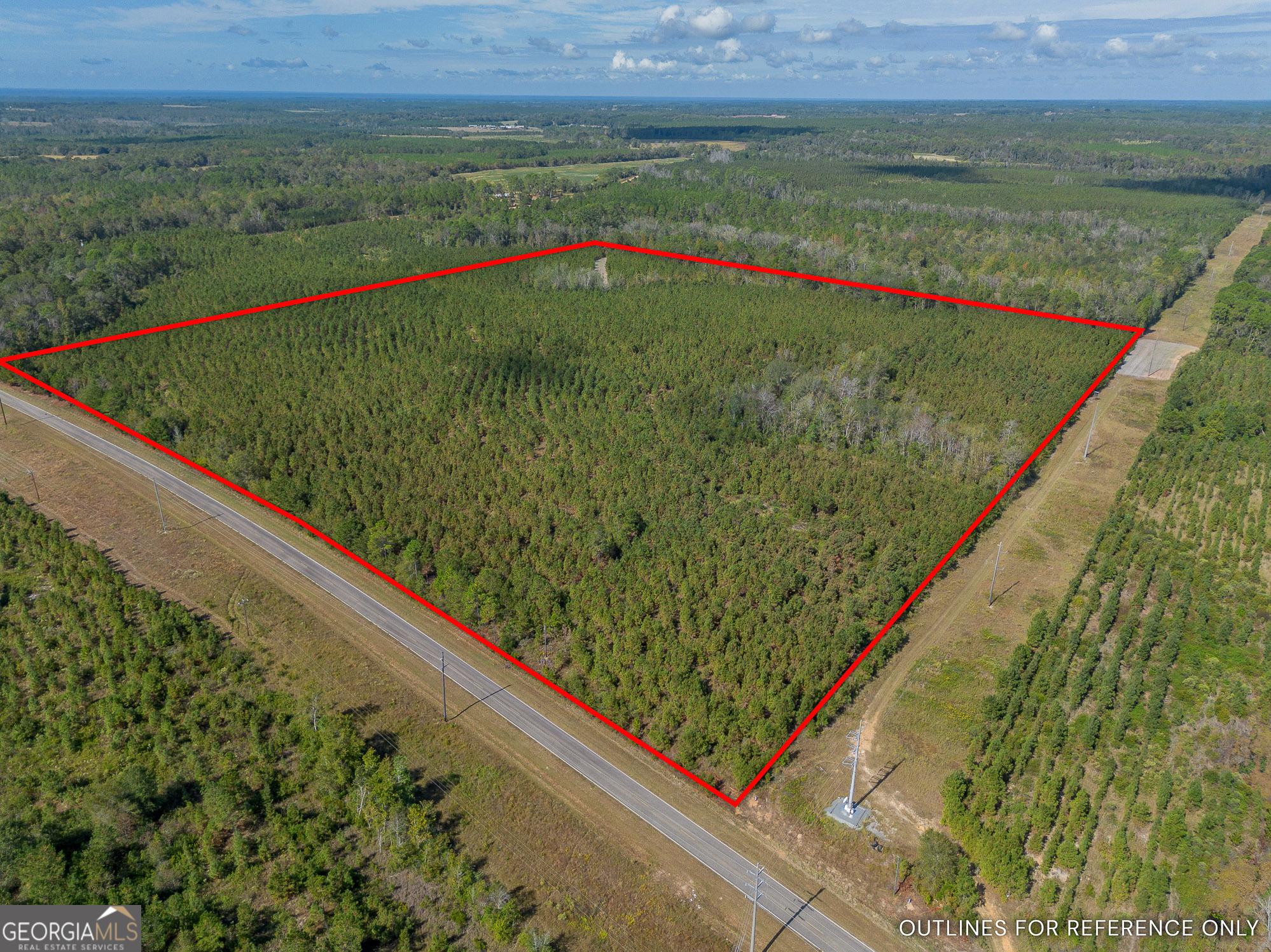 Tract 2 Kinnett Road Jacksonville, GA 31544 - Photo 3 of 17