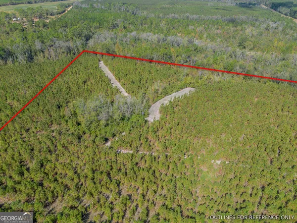 $225,000 | Tract 2 Kinnett Road, Jacksonville, GA 31544