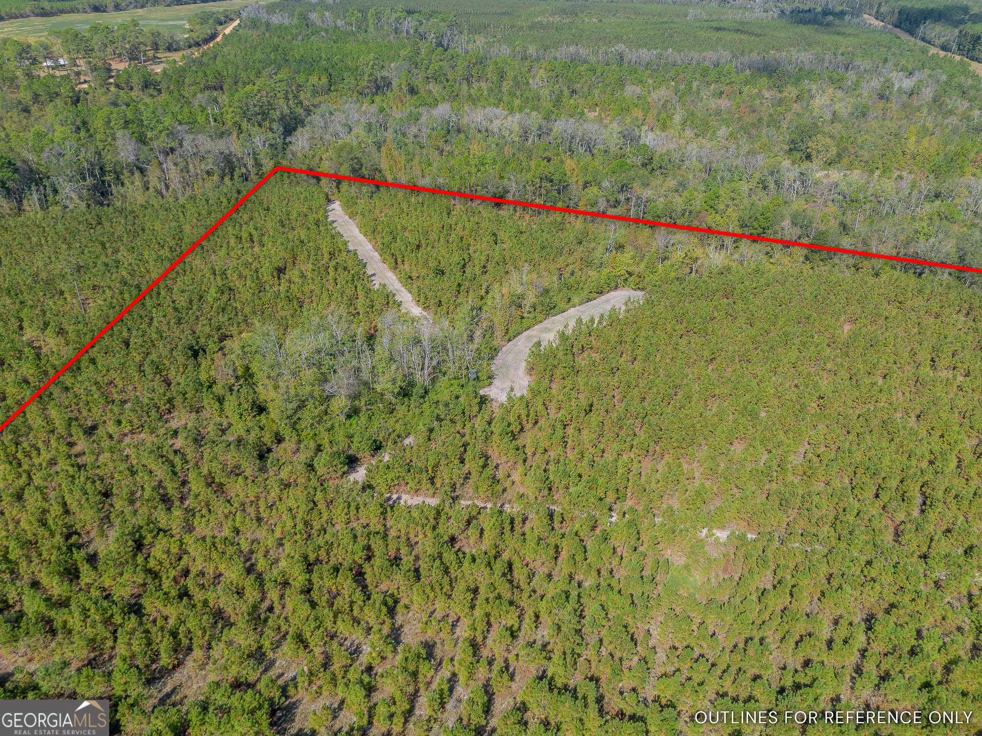 Tract 2 Kinnett Road Jacksonville, GA 31544 - Photo 4 of 17