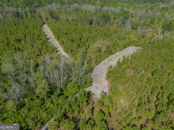 $225,000 | Tract 2 Kinnett Road, Jacksonville, GA 31544