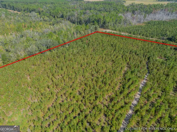 $225,000 | Tract 2 Kinnett Road, Jacksonville, GA 31544