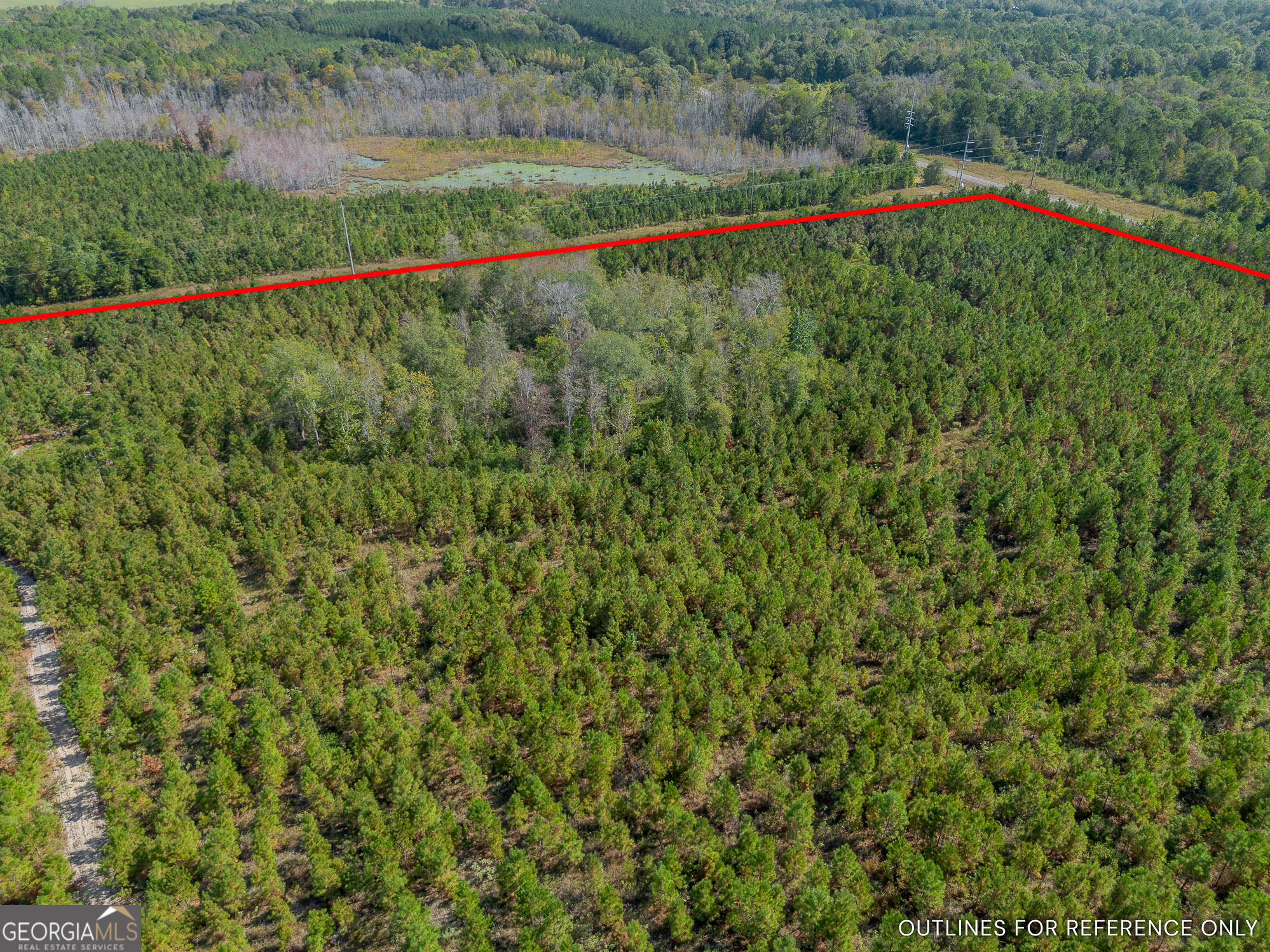 Tract 2 Kinnett Road Jacksonville, GA 31544 - Photo 7 of 17