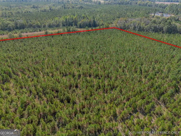 $225,000 | Tract 2 Kinnett Road, Jacksonville, GA 31544