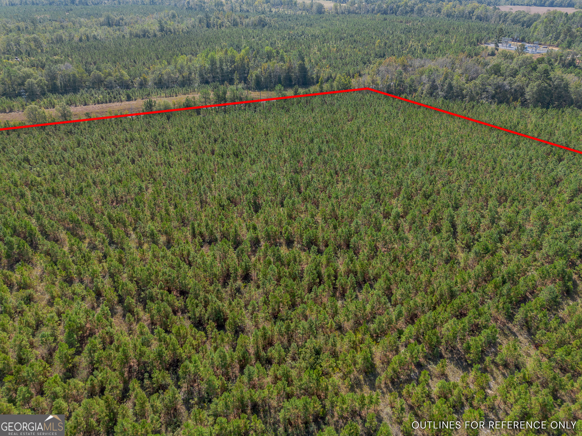 Tract 2 Kinnett Road Jacksonville, GA 31544 - Photo 8 of 17