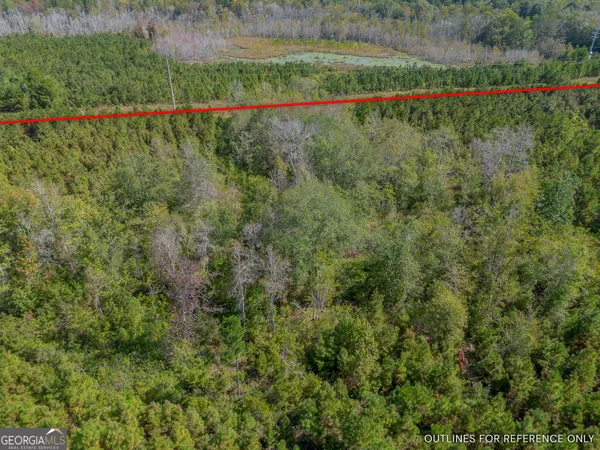$225,000 | Tract 2 Kinnett Road, Jacksonville, GA 31544
