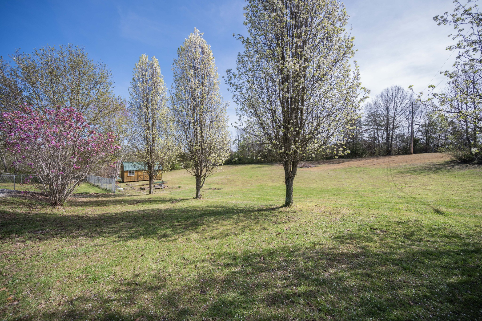 412 Rock Station Road Rock Island, TN 38581 - Photo 42 of 47 a view of a yard with trees